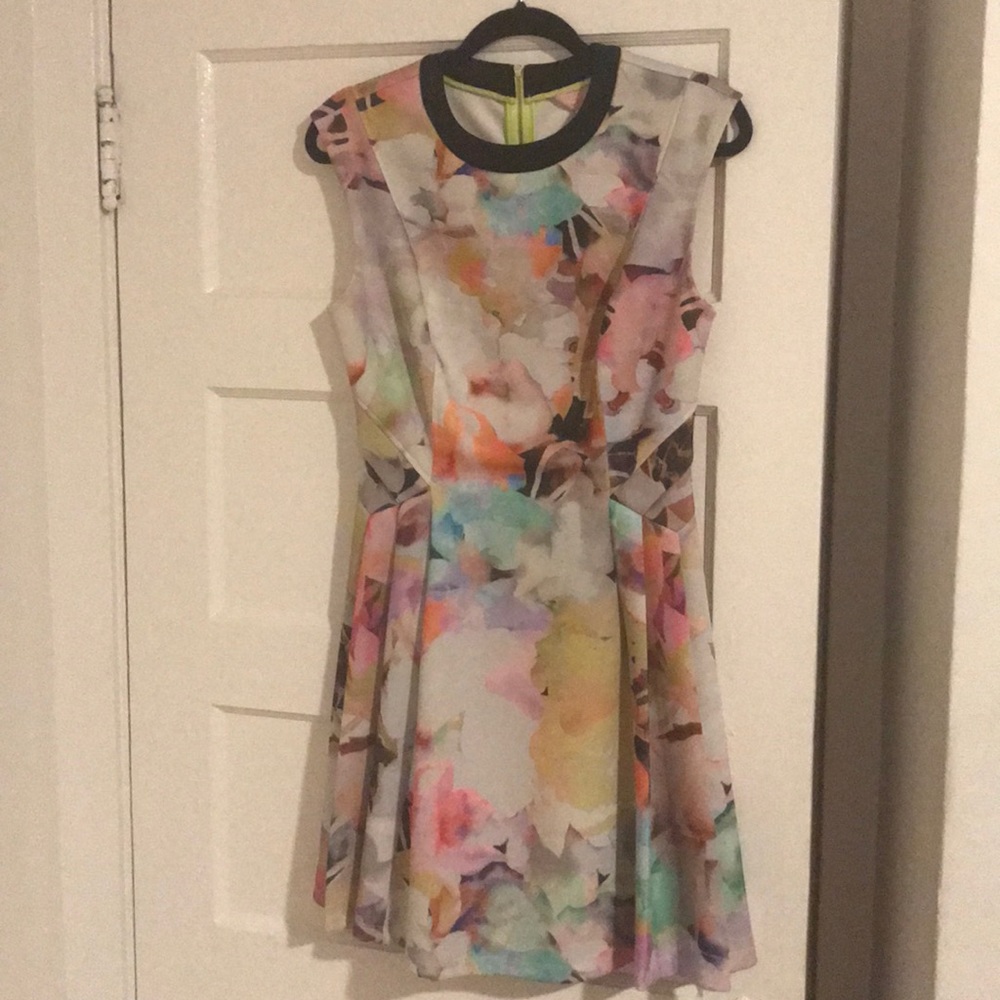 Ted Baker Watercolor Dress